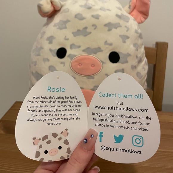 Rosie the Pig Squishmallow π· - Picture 2 of 2